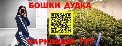ПСИЛОЦИБИНОВЫЕ ГРИБЫ Будённовск