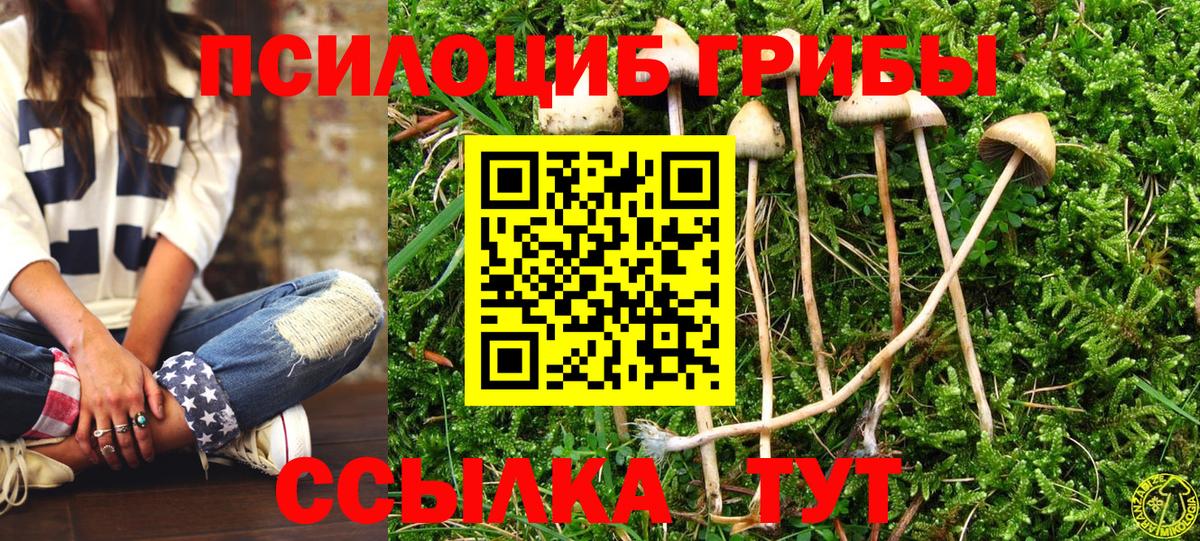 Галлюциногенные грибы ЛСД Нефтекумск