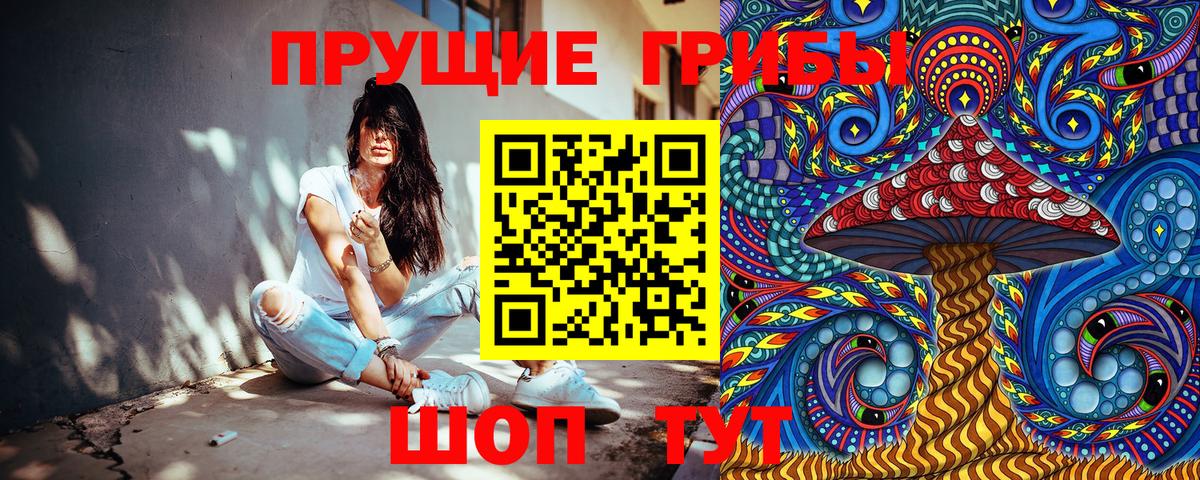 Псилоцибиновые грибы мицелий  Псилоцибиновые грибы прущие грибы  Вход с VPN  Нефтекумск 