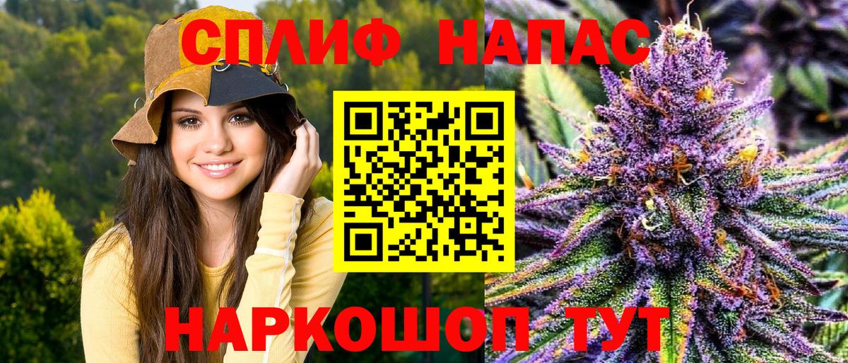 Шишки марихуана план Нефтекумск
